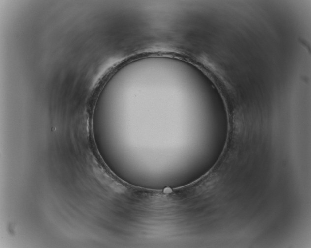 X0000103501408200809191935