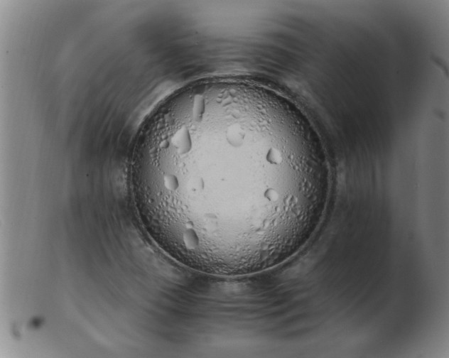 X0000103501409200809191935