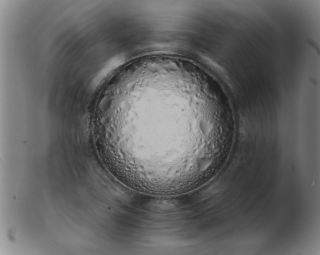 X0000103501411200809191935