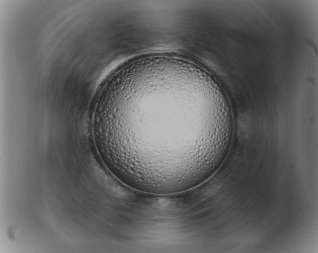 X0000103501412200809191935