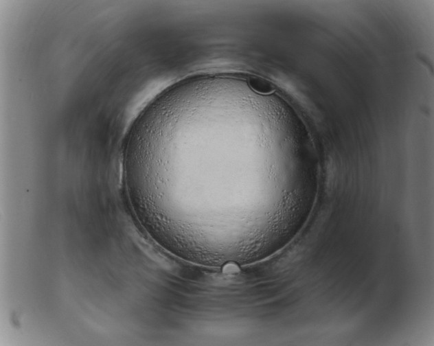 X0000103501413200809191935