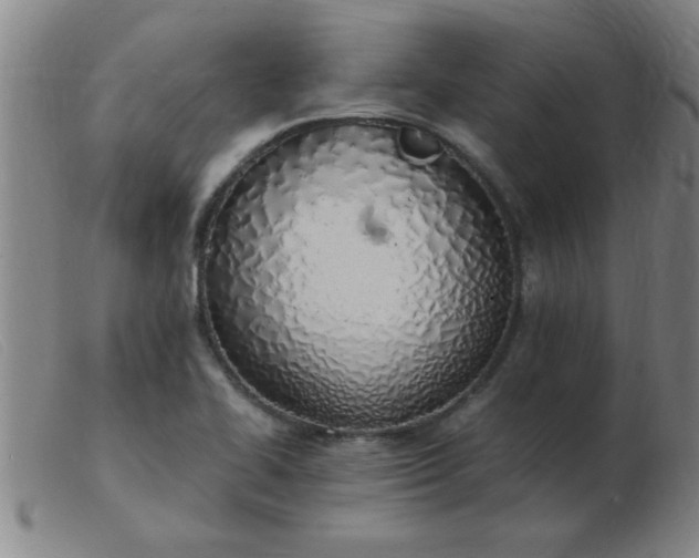 X0000103501414200809191935