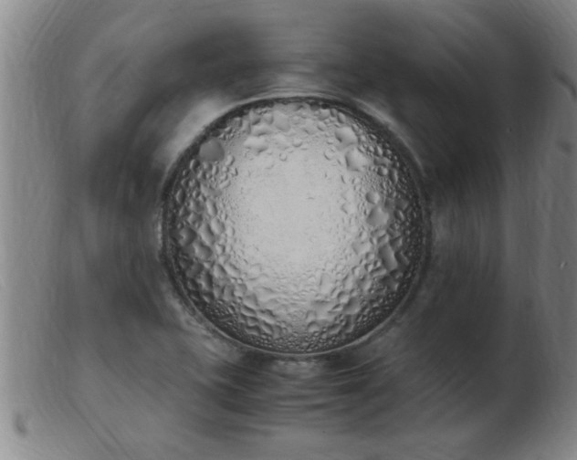 X0000103501415200809191935