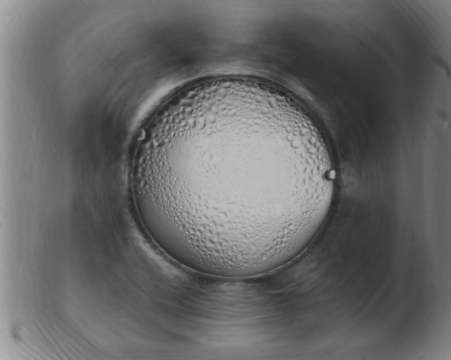 X0000103501416200809191935