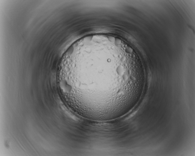 X0000103501417200809191935