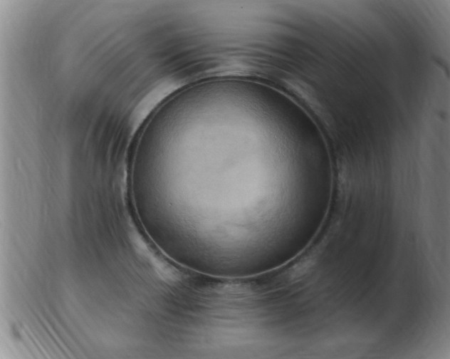 X0000103501418200809191935