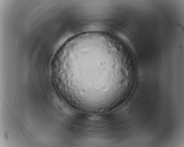 X0000103501419200809191935