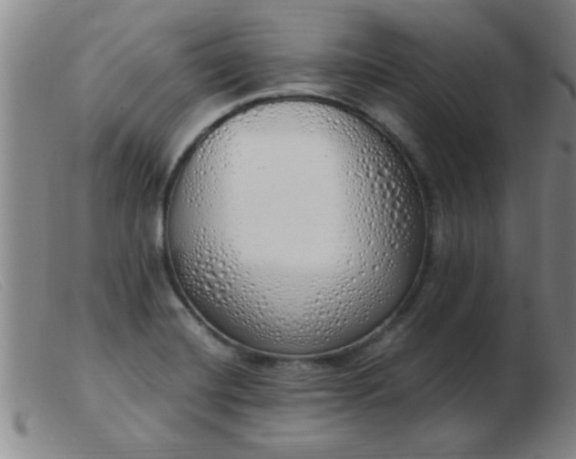 X0000103501420200809191935