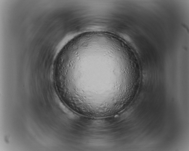 X0000103501421200809191935