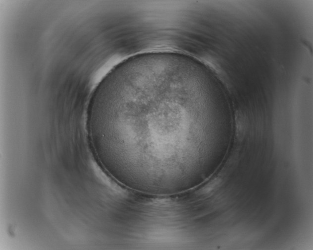 X0000103501422200809191935