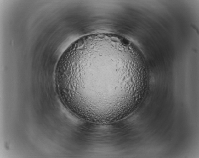 X0000103501423200809191935