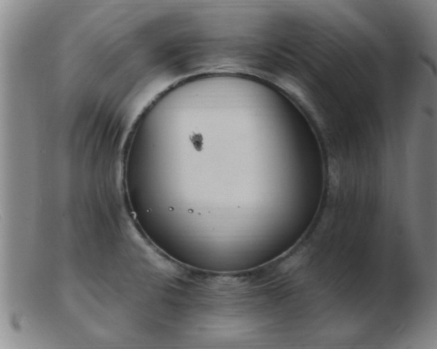 X0000103501424200809191935