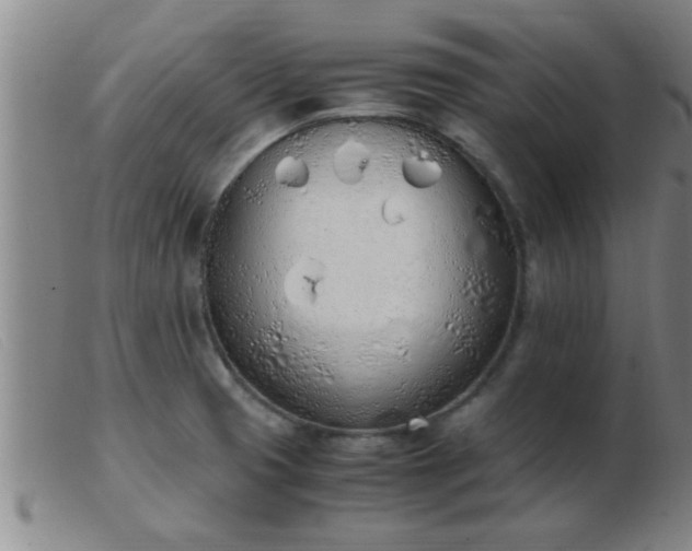 X0000103501425200809191935