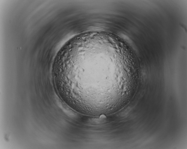 X0000103501427200809191935