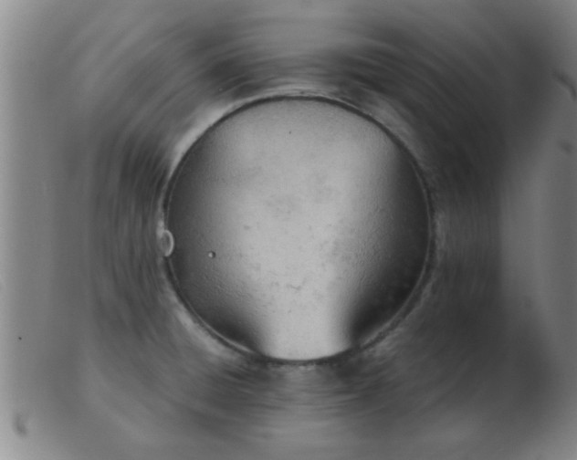 X0000103501428200809191935