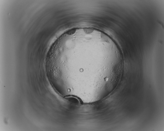 X0000103501429200809191935