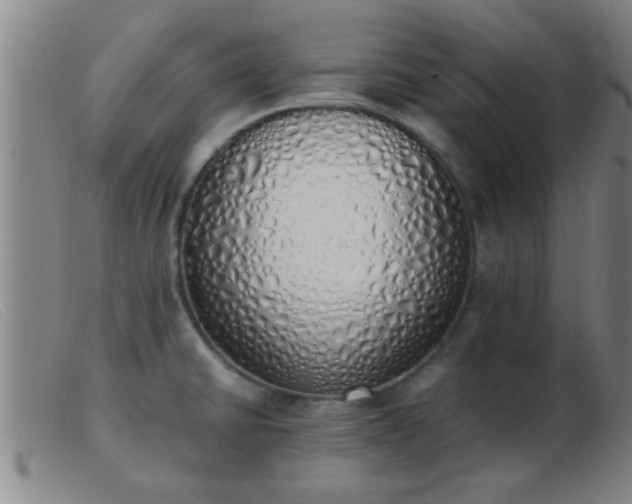 X0000103501430200809191935