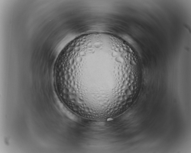 X0000103501431200809191935