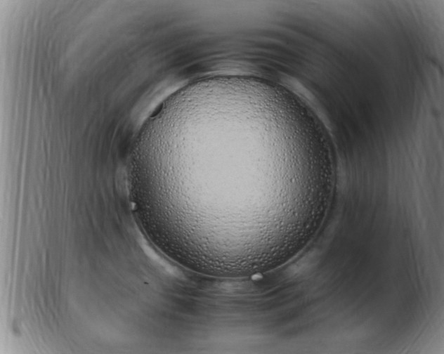 X0000103501433200809191935