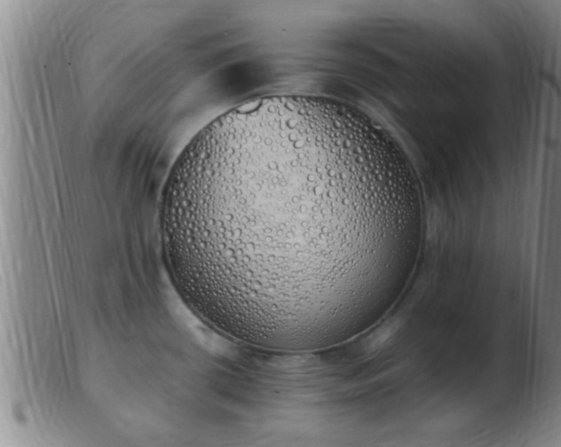 X0000103501434200809191935