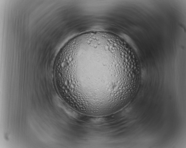 X0000103501435200809191935