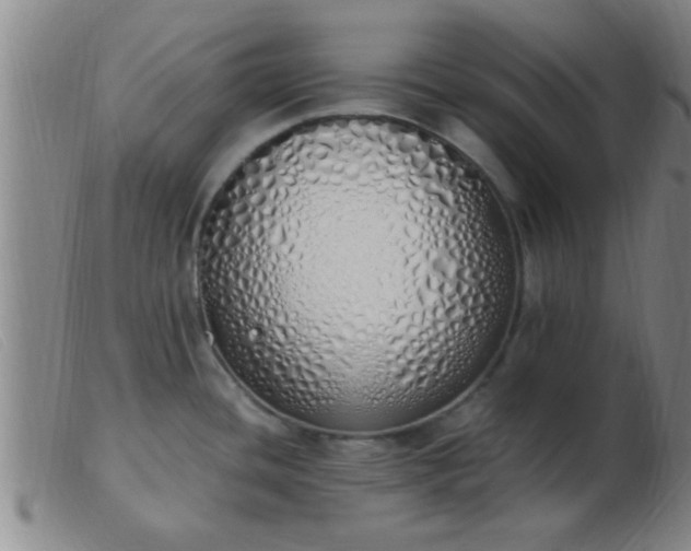 X0000103501436200809191935