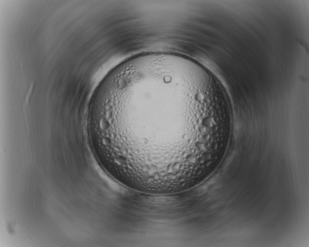 X0000103501437200809191935