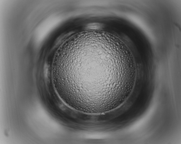 X0000103501438200809191935