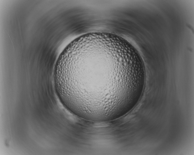 X0000103501440200809191935