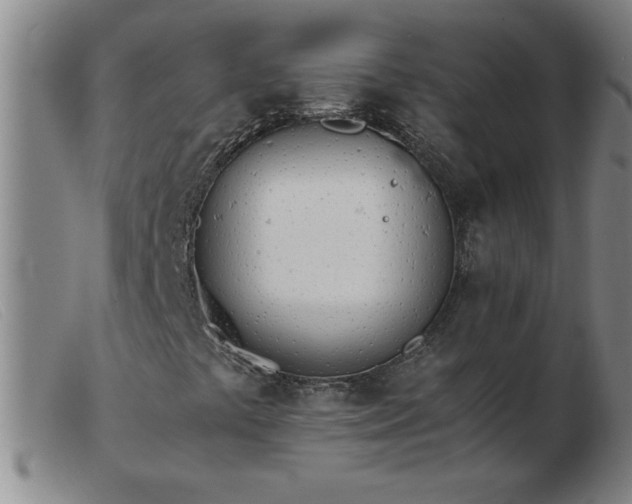 X0000103501441200809191934