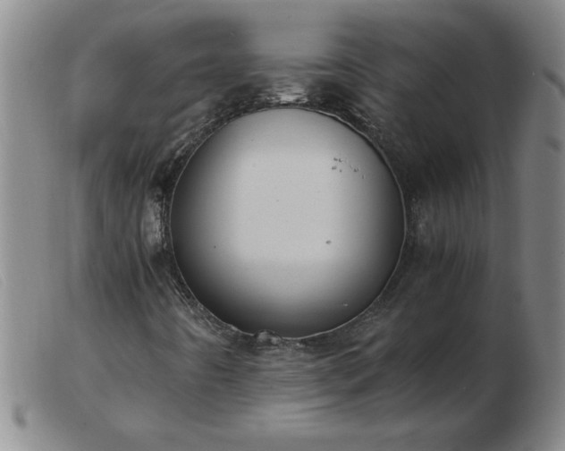 X0000103501442200809191934