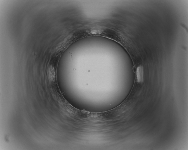 X0000103501443200809191934