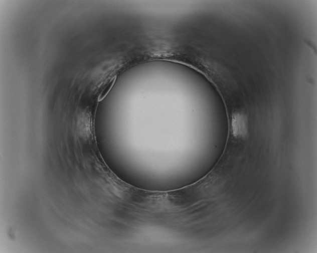 X0000103501444200809191934