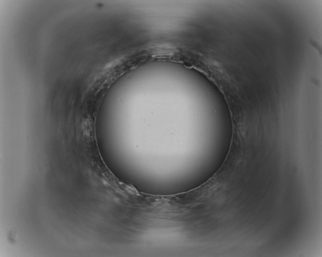 X0000103501445200809191934