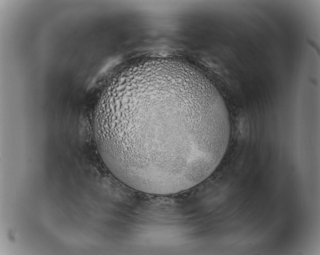 X0000103501446200809191934