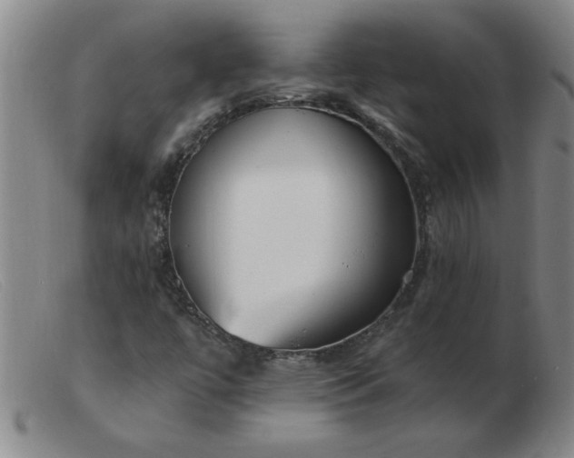 X0000103501447200809191934