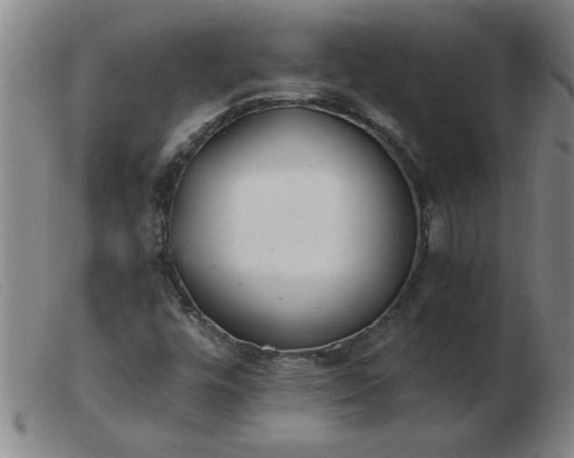 X0000103501448200809191934