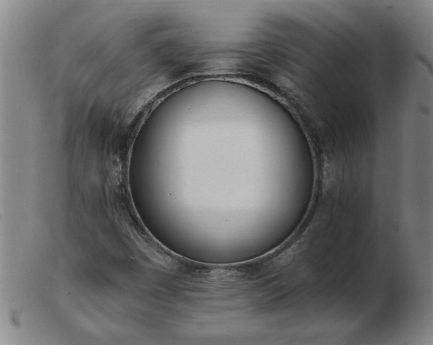 X0000103501449200809191934