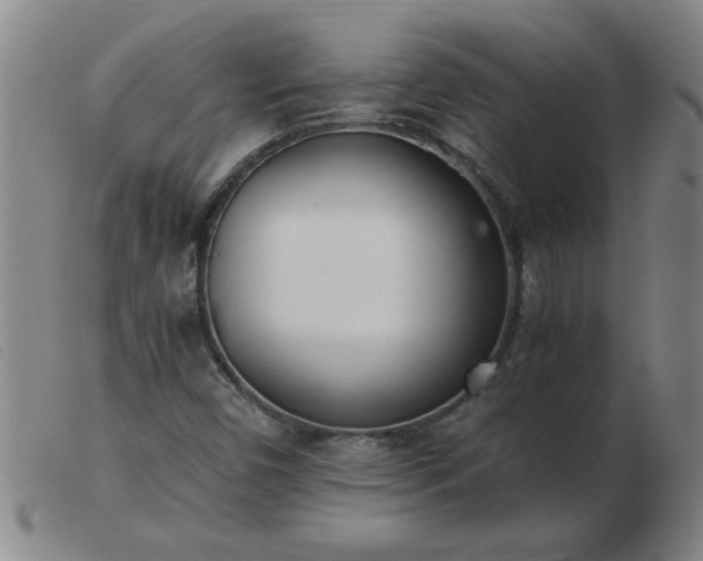 X0000103501450200809191934