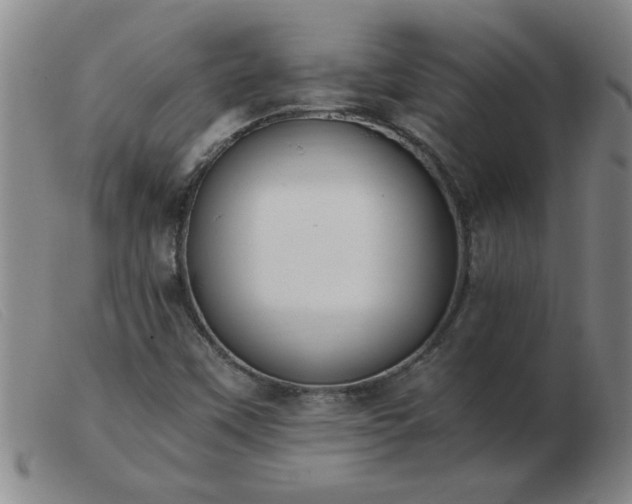 X0000103501451200809191934