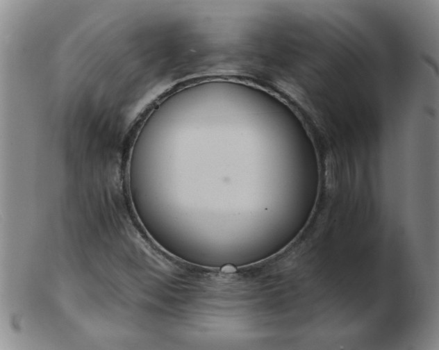 X0000103501452200809191934