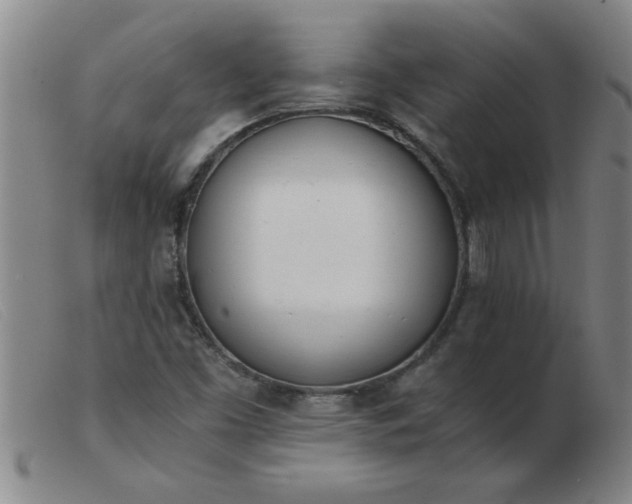 X0000103501453200809191934