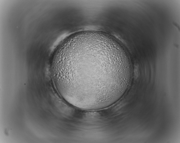 X0000103501454200809191934