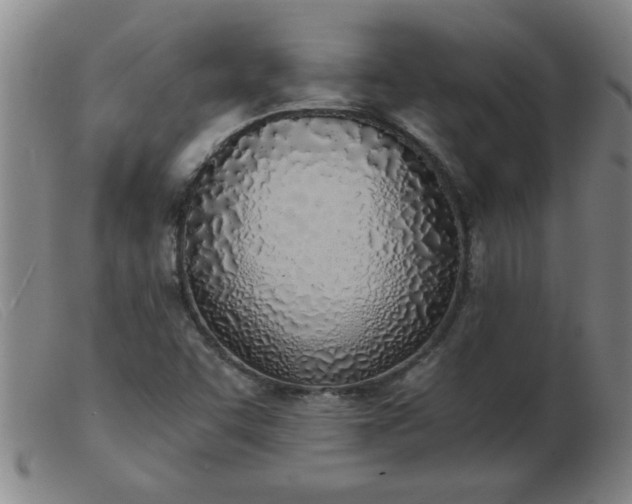 X0000103501455200809191934