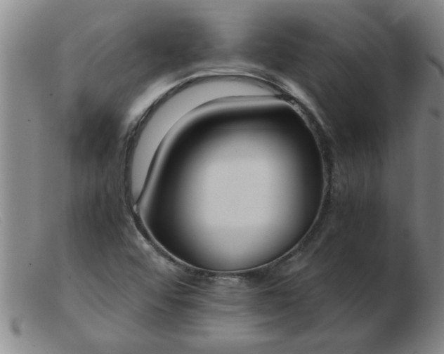 X0000103501456200809191934