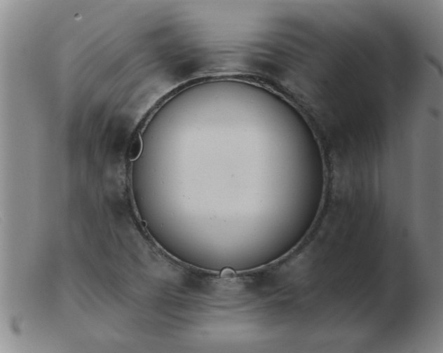 X0000103501457200809191934