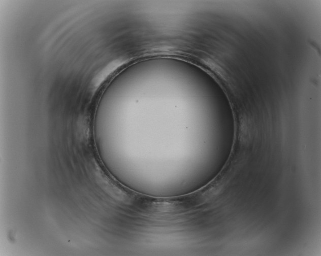 X0000103501458200809191934