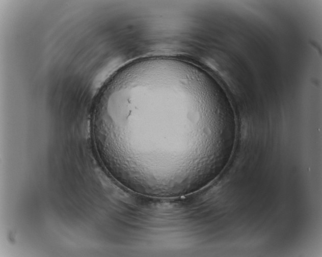 X0000103501459200809191934