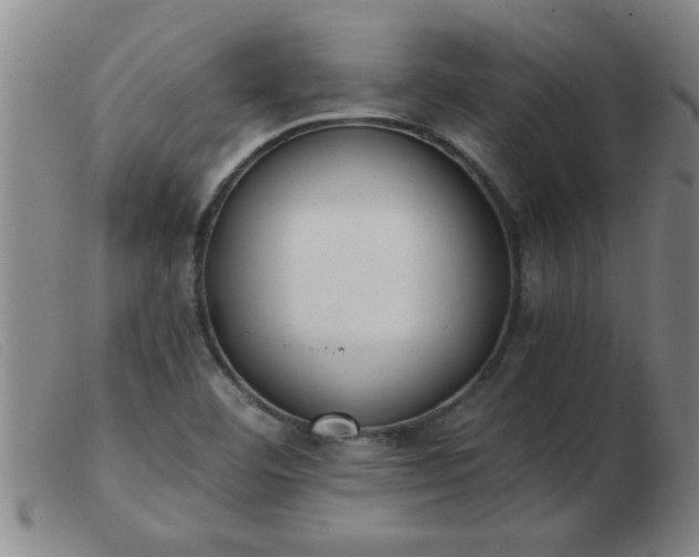 X0000103501460200809191934