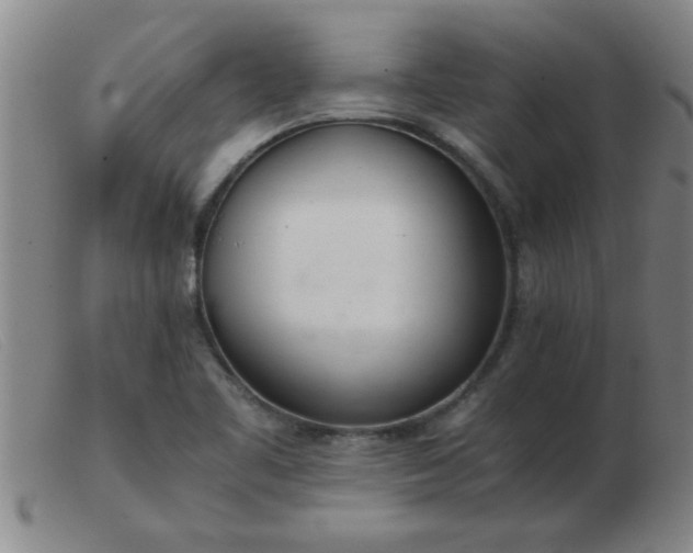 X0000103501461200809191934